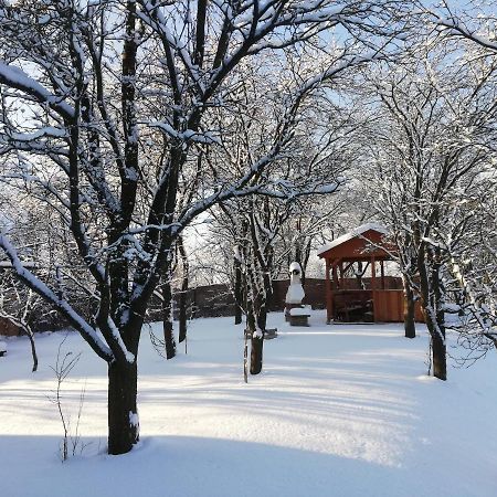 Villa Zrubovy Dom Silvia Trstené Esterno foto
