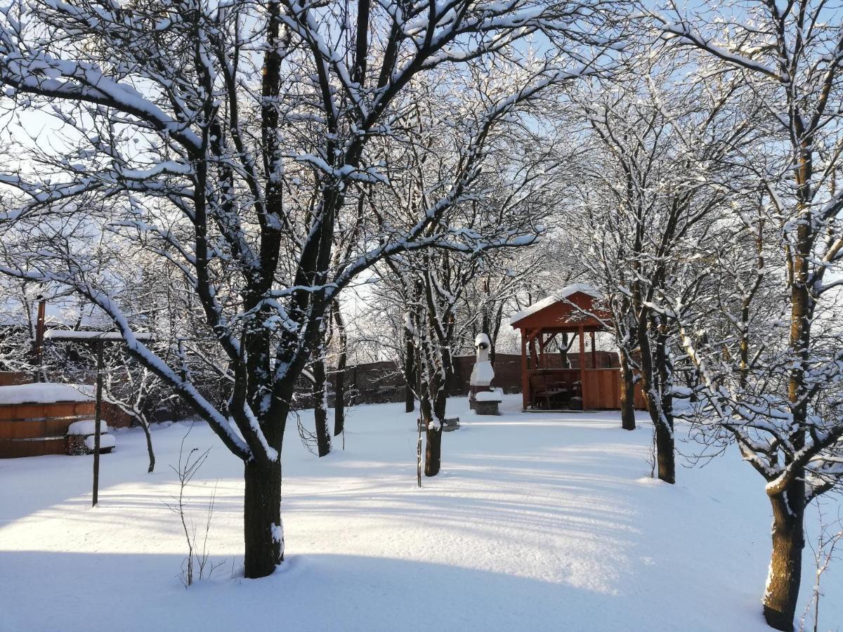 Villa Zrubovy Dom Silvia Trstené Esterno foto
