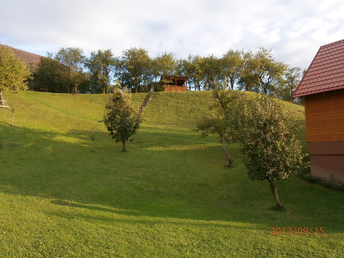 Villa Zrubovy Dom Silvia Trstené Esterno foto